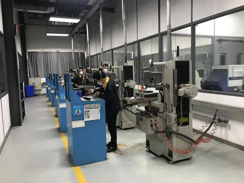 问需于企，精准服务 走进物联网应用服务领域的双星